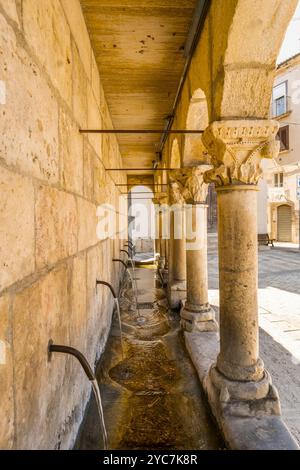 Fontana Fraterna, Fontaine fraternelle, Piazza Giosuè Carducci, Isernia, Molise, Italie Banque D'Images