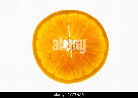 Macro ou gros plan extrême d'une tranche de fruit orange Banque D'Images
