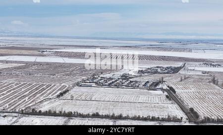 HAMI, CHINE - 20 OCTOBRE 2024 - de fortes chutes de neige apportées par un fort air froid tombent sur le versant nord de la montagne Tianshan à Hami, dans la province du Xinjiang, en Chine Banque D'Images