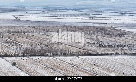 HAMI, CHINE - 20 OCTOBRE 2024 - de fortes chutes de neige apportées par un fort air froid tombent sur le versant nord de la montagne Tianshan à Hami, dans la province du Xinjiang, en Chine Banque D'Images