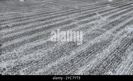 HAMI, CHINE - 20 OCTOBRE 2024 - de fortes chutes de neige apportées par un fort air froid tombent sur le versant nord de la montagne Tianshan à Hami, dans la province du Xinjiang, en Chine Banque D'Images