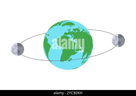 Orbite lunaire autour de la Terre avec des phases lunaires illustration isolée Illustration de Vecteur