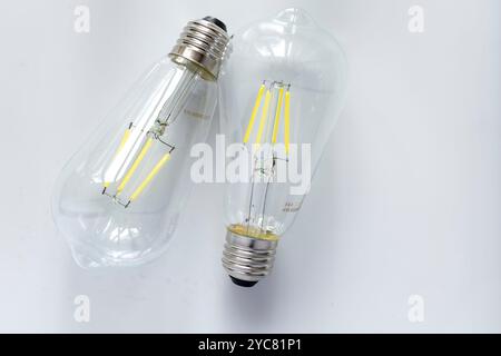 Deux ampoules LED en verre transparent avec filaments visibles reposent sur un fond blanc. Les ampoules ont une base vissée standard et sont orientées de façon à ce que Banque D'Images