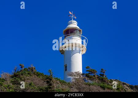 Phare de Lobster Head Cove, Rocky Harbour, Terre-Neuve, Canada Banque D'Images