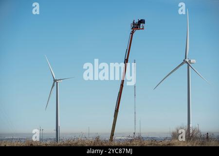 09 février 2016-Jason Roadman, chercheur au NREL, et Seth Oster, vétérinaire, se préparent à libérer un aigle doré d'un ascenseur pendant la recherche au National Wind Technology Center les aigles de l'Université Auburn, les entraîneurs et un vétérinaire participent à la recherche pour aider le laboratoire national des énergies renouvelables du Département de l'énergie des États-Unis à développer un radar et des systèmes visuels qui empêchent les impacts d'oiseaux avec des éoliennes. La recherche est un projet de collaboration avec Laufer Wind, RES America, NREL et l'Université d'Auburn. (Photo de DENNIS SCHROEDER / NREL) Voir aussi Eagles participer à Colo Banque D'Images