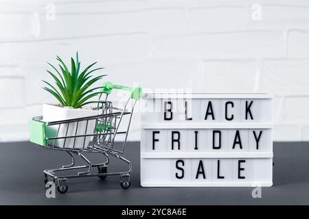 Concept de vendredi fou. Mini chariot et plante succulente. Vente en ligne et réductions. Banque D'Images