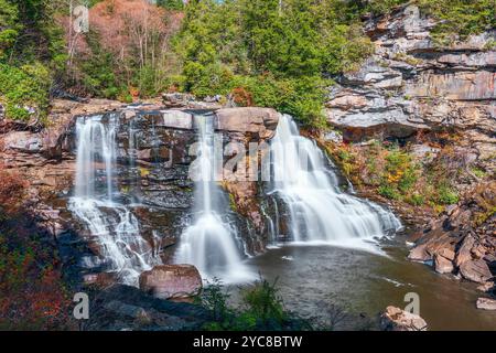 Blackwater Falls le long de la rivière Blackwater dans le parc national de Blackwater Falls. Virginie occidentale. ÉTATS-UNIS Banque D'Images