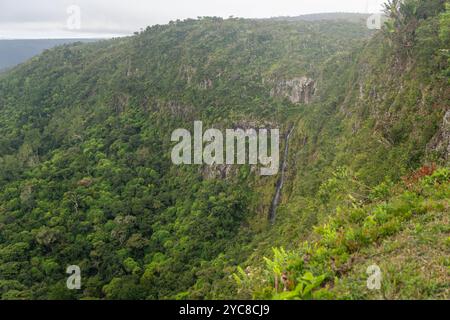 Les majestueuses chutes de Chamarel descendent une falaise abrupte, entourée d'une forêt tropicale luxuriante. Cette cascade emblématique est l’une des plus hautes de Maurice. Banque D'Images