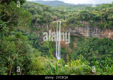 Les majestueuses chutes de Chamarel descendent une falaise abrupte, entourée d'une forêt tropicale luxuriante. Cette cascade emblématique est l’une des plus hautes de Maurice. Banque D'Images