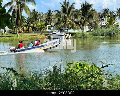 Bateau sur la rivière North Stann Creek en direction de la mer à Dangriga, Belize Banque D'Images