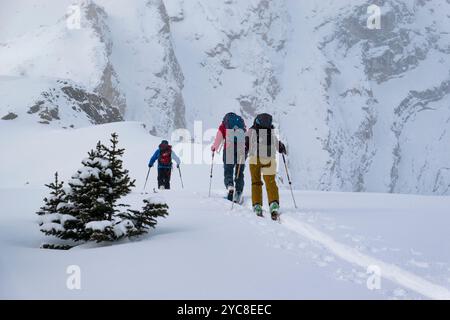 Ski de fond dans le parc national Banff, Alberta, Canada Banque D'Images