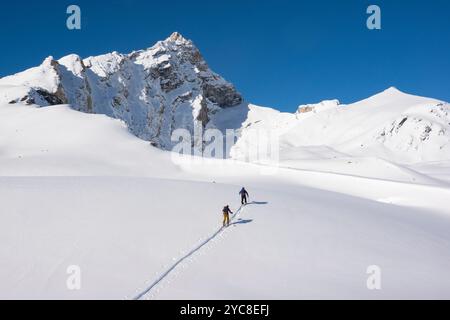 Ski de fond dans le parc national Banff, Alberta, Canada Banque D'Images