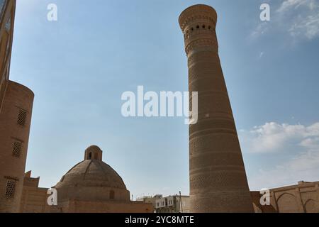 Le complexe de la mosquée po-i-Kalyan, avec le magnifique minaret de Kalyan, est l'un des monuments les plus célèbres de Boukhara, Ouzbékistan. Le minaret, standi Banque D'Images