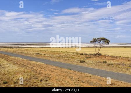 Le lac Tyrrell à Sea Lake est le plus grand lac salé de Victoria, en Australie, en Océanie Banque D'Images