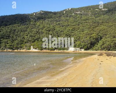 Cette belle plage de sable est une belle récompense à la fin de la piste Telegraph Saddle to Sealers Cove, Wilsons Promontory, Victoria, Australie, Océanie Banque D'Images