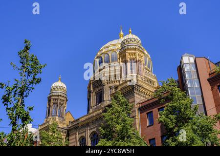 Nouvelle synagogue Berlin, Centrum Judaicum, Berlin, Allemagne, Europe Banque D'Images