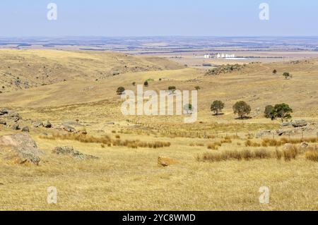 Pâturage escarpé, sec et rocheux entre Angaston et Murray Bridge, Australie, Océanie Banque D'Images