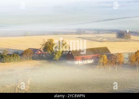 Vue d'une ferme sur un champ avec la brume d'automne Banque D'Images