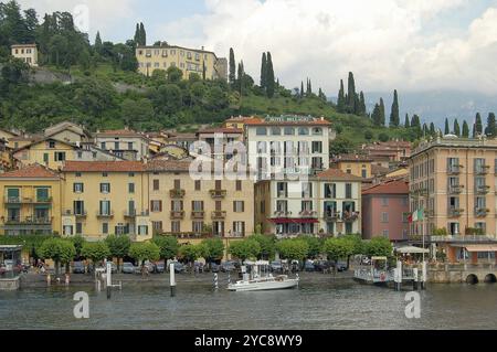 Port de Bellagio sur le front de mer bordé d'arbres du lac de Côme (Lago di Como), Bellagio, Lombardie, Italie, Europe Banque D'Images