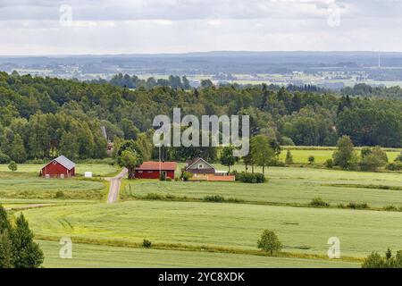 Vue paysage avec une ferme sur un champ par les bois Banque D'Images