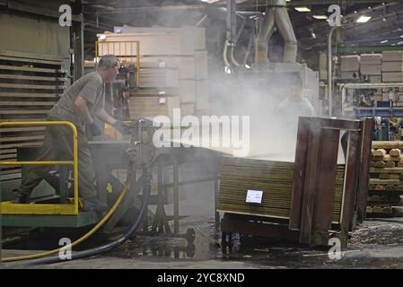 GREYMOUTH, NOUVELLE-ZÉLANDE, 22 MAI 2015 : des ouvriers empilent des feuilles de contreplaqué fraîchement fabriquées non taillées le 22 mai 2015, près de Greymouth, Nouvelle-Zélande, Océanie Banque D'Images