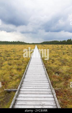 Sentier nature à une passerelle en bois à travers une lande Banque D'Images