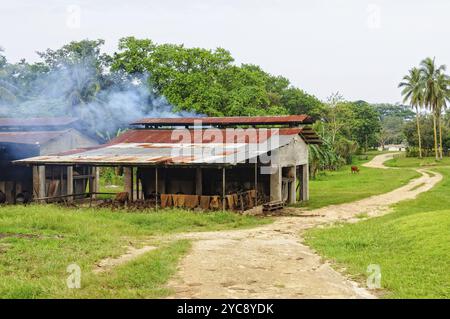 Petite usine de transformation du coprah à Saraoutou, Espiritu Santo, Vanuatu, Océanie Banque D'Images