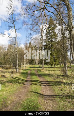 Chemin de terre à travers un pâturage ensoleillé au printemps Banque D'Images