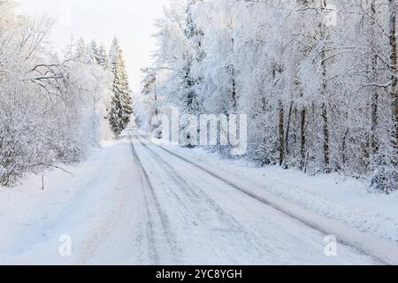 La route d'hiver dans un bois avec la neige et le gel Banque D'Images