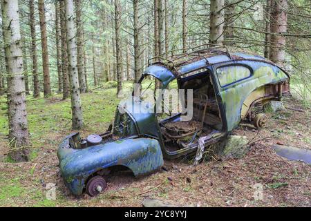 Vieille carcasse de voiture dans les bois Banque D'Images