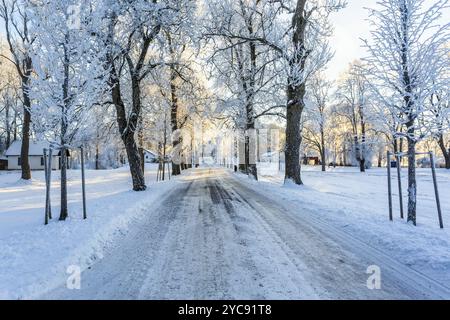 Grâce à un chemin d'hiver glissante avenue arbre Banque D'Images