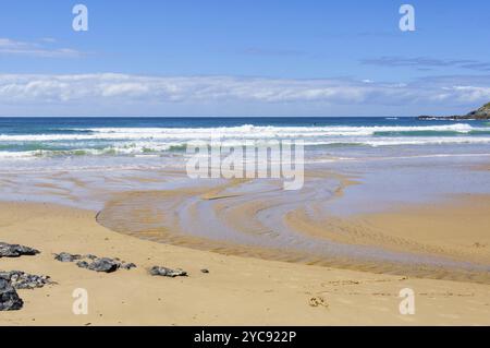 Marée basse sur Diggers Beach, Coffs Harbour, NSW, Australie, Océanie Banque D'Images