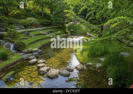 Vue à angle élevé d'un ruisseau rapide se jetant dans un ruisseau plus grand et d'arbustes d'azalée en fleurs rouges et petits pins et arbustes de genièvre et chemins de pierres Banque D'Images