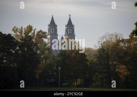 Cathédrale de Magdebourg, église gothique avec tours jumelles se lève derrière les arbres d'automne, Magdebourg, Saxe-Anhalt, Allemagne, Europe Banque D'Images