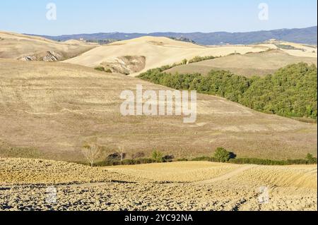 Collines d'automne en Crete Senesi près de Pienza, Toscane, Italie, Europe Banque D'Images