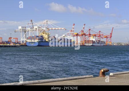 Énormes navires porte-conteneurs chargés avec des grues dans le port intérieur, Fremantle, WA, Australie, Océanie Banque D'Images