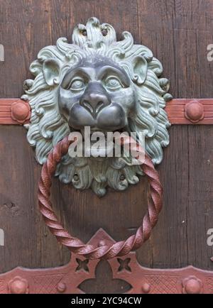 Ornate door knocker Lion sculpture Vue de côté Banque D'Images