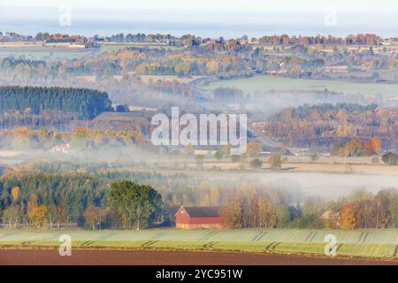 Vue paysage rural avec du brouillard en automne Banque D'Images