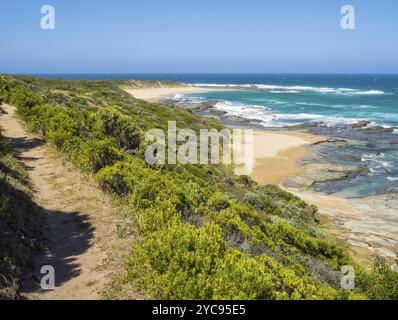 Piste sur la Great Ocean Walk, Crisfish Bay, Victoria, Australie, Océanie Banque D'Images