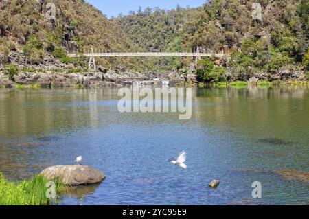 Pont suspendu Alexandra au premier bassin de Cataract gorge, Launceston, Tasmanie, Australie, Océanie Banque D'Images