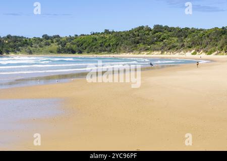 Marée basse sur Diggers Beach, Coffs Harbour, NSW, Australie, Océanie Banque D'Images