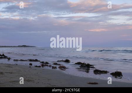 Algues lavées à terre sous un ciel coloré, Torquay, Victoria, Australie, Océanie Banque D'Images