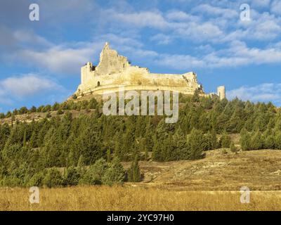 Un château important en ruines sur la colline, Castrojeriz, Castille-et-Léon, Espagne, Europe Banque D'Images