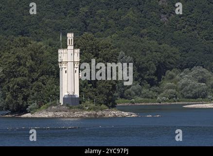 La tour de la souris Binger, Mauseturm sur une petite île dans le Rhin, Allemagne, Europe Banque D'Images