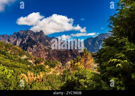 Fin d'après-midi couleurs d'automne au Miradouro da Encumeada, Madère, Portugal Banque D'Images