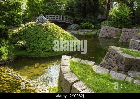 L'étang avec des berges en pierre et une sorte de buissons d'azalée pyramide et pont japonais en bois dans le jardin japonais dans le parc Albert Kahn à Paris. A Banque D'Images