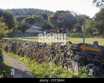 Une flèche jaune marque Camino sur un mur de pierres sèches, Ventas de Naron, Galice, Espagne, Europe Banque D'Images