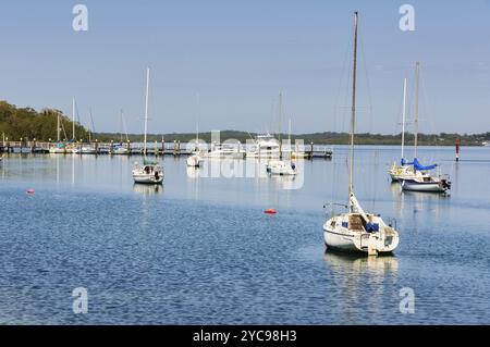 Bateaux à voile sur l'ancre à Sunset Beach sur la paisible rivière Karuah, Soldiers point, Nouvelle-Galles du Sud, Australie, Océanie Banque D'Images