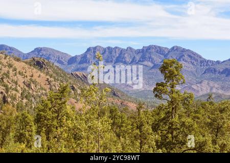 Vue de la chaîne Heysen depuis la route de la gorge Bunyeroo à Wilpena Pound, Flinders Ranges, Australie méridionale, Océanie Banque D'Images