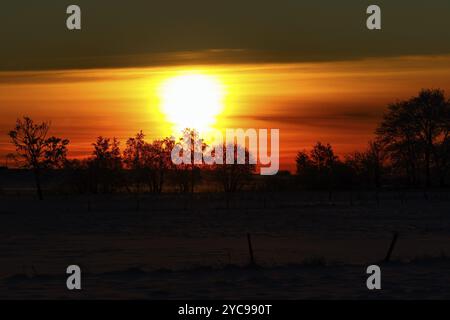 Coucher du soleil avec des arbres en silhouette Banque D'Images